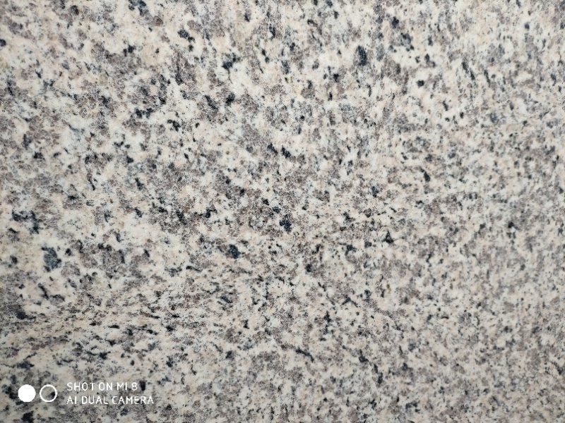 tiger skin white.JPG